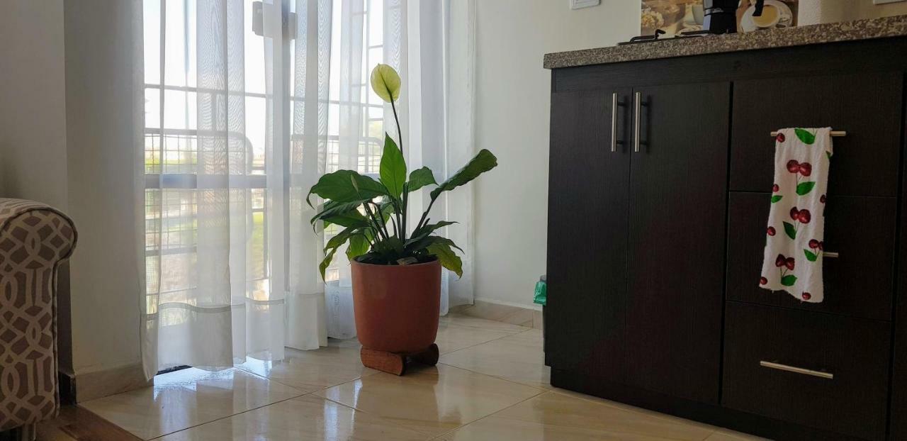 Kalos Meraki Apartasuites Bogota Bagian luar foto